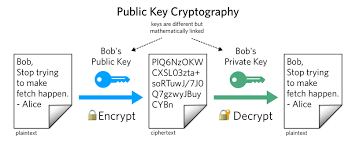 If you want to buy ethereum using paypal but be able to withdrawal it, you can now use etoro to buy ethereum and hold the keys, unless you live in the united states. Is Ethereum A Good Investment Right Now Benzinga