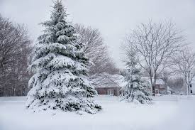 Image result for winter snow