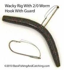 Wacky Worm Fishing Has No Limits For Fishing Plastic Worms Plastic Worms Fishing Lures Fishing Techniques