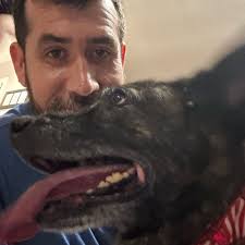 BALL Oct/Nov N/V: 2d4 Trae Youngs is a p. standard encounter for a level  one party