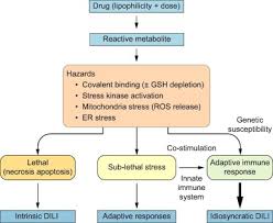 However, if the conversation, or the question asked of you, is not about your age, then the other person may be waiting for more information. Easl Clinical Practice Guidelines Drug Induced Liver Injury Journal Of Hepatology