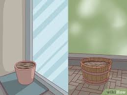It actually belongs to the family liliaceae and is a relative in warm, humid climates, asparagus ferns can spread rapidly when planted outdoors. How To Care For An Asparagus Fern 12 Steps With Pictures