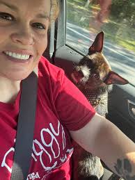 Rescued boy kitten needs neutering