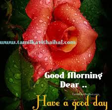 Awsome Tamil Good Morning Wishes Kalai Vankkam Dp Status Download Good morning sms in tamil pirivai ninaithu kavidhai yeludhinen, kaagidham nanaindhu vitadhu. awsome tamil good morning wishes kalai