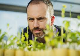 Stephen Wright honoured with NSERC E.W.R. Steacie Memorial Fellowship