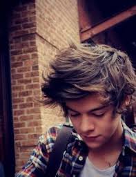 25 Harry styles ideas