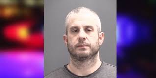 GCSO: Man arrested after running from deputies while being served warrant