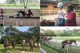 They are so friendly and helpful, and their horses are wonderful! Giddy Up Where To Take Kids Horse Riding In Singapore Wonder Years
