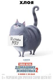 Tajnaya Zhizn Domashnih Zhivotnyh 2 2019 The Secret Life Of Pets 2 Multfilm Informaciya O Filme Gollivudskie Multfilmy Kino Teatr Ru