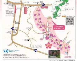 本部八重岳櫻之森公園的圖片