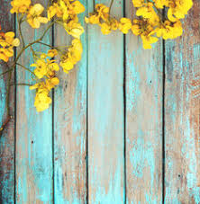 We did not find results for: Fototapete Yellow Flowers On Vintage Wooden Background Border Design Vintage Color Tone Concept Flower Of Spring Or Summer Background Jakkapan