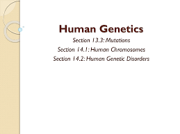 During metaphase, a chromosome exists as two chromatids attached at the. Human Genetics Powerpoint