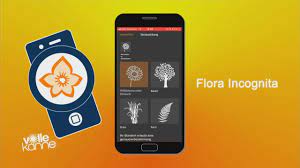 Wir wünschen ihnen viel spaß und tolle beobachtungen mit dieser app! Pflanzenbestimmung Per App Zdfmediathek
