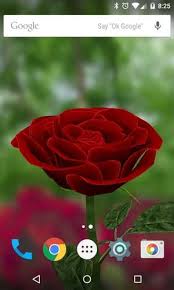 Download 3d rose live wallpaper free apk for android. 3d Rose Live Wallpaper Apk 5 3 Download For Android Download 3d Rose Live Wallpaper Apk Latest Version Apkfab Com