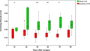 Il se lave même les aisselles, le cou, les oreilles et le museau tout comme un humain! Functional And Physiological Methods Of Evaluating Median Nerve Regeneration In The Rat Protocol Translated To French