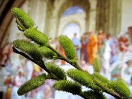 В 2021 году его празднуют в апреле 25 числа. Kogda Verbnoe Voskresene 2021 Data Verbnogo Voskresenya Tradicii Unian