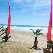 Encuentra las mejores opciones para celebrar tu boda soñada junto al mar, en la misma arena o en un lugar con vistas, en esta amplia selección de salones, haciendas y hoteles en la playa. Boda En La Playa Mama Voladora
