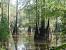 House Lake Martin Alabama