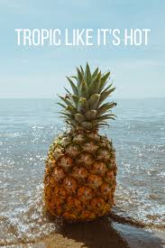 365 Best Instagram Travel Captions Landscape Poster Pineapple Wall Art Beach Wall Art