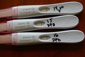 After that first positive test, you can stop testing. The Most Accurate Pregnancy Tests Wehavekids