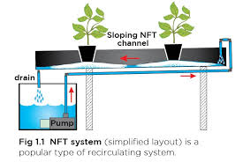 Guide To Hydroponic System Design Recirculating Or Run To Waste