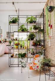 Parete Green In 2020 Room With Plants House Plants Decor Room Divider Shelves