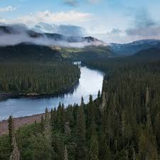 Тим файвелл, джесика хоббс, ричард лэкстон. Should Rivers Have The Same Rights As People Environment The Guardian