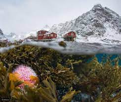 25 صورة محيرة من مصوري ناشونال جيوغرافيك رائج beautiful photography nature nature photography photo awards