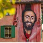 Gentoo Penguins at Berthas Beach Guided Tour From Stanley