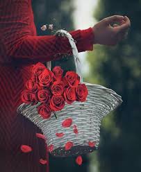 Pin By Rayah On Red Rose ورد أحمر Beautiful Roses Flowers For You Floral Border Design