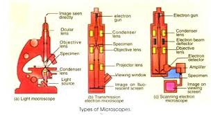 Top 8 Types Of Microscopy With Diagram