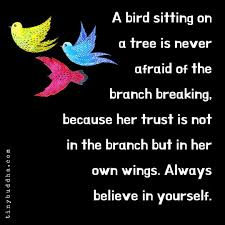 Bird Sitting On Branch Quote Tiny Buddha On Instagram A Bird Sitting On A Tree Is Never Afraid Of The Branch Breaking Because Her Trus Life Quotes Pictures Believe In You Buddhism Quote