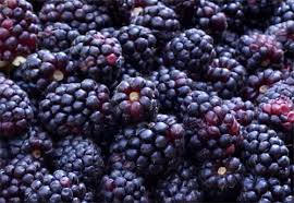 Maybe you would like to learn more about one of these? How To Grow Boysenberries