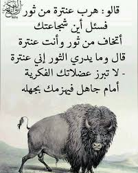 Pin By Arabicwithnadia On Words Arabic Quotes Arabic Love Quotes Proverbs Quotes