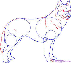 Husky drawings dog cartoon drawing anime siberian furry huskies dogs kwon elisa hunde inprnt animal sketches pet acuarela iphone draw. Siberian Husky Chibi Cute Husky Drawing Novocom Top