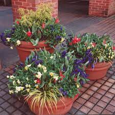 Bright orange containers light up a deeply shaded spot, while hues of chartreuse and black add a pop of contrast. Container Garden Ideas Hgtv