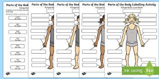 Learn 90 human body parts name with english and hindi meaning and with images and also learn some internal human body parts with picture. Body Parts Labelling Activity English German Body Parts Labelling Activity