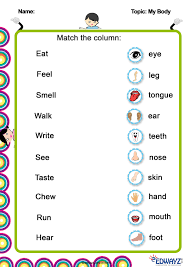 Worksheets Class1 Our Body In 2020 Worksheets For Class 1 2nd Grade Worksheets English Worksheets For Kids