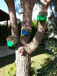 Nesrin Ceylan Adli Kullanicinin Bahce Balkon Panosundaki Pin Bahce