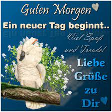 Hier werden einige solcher whatsapp morgengrüße vorgestellt, die man auch mit einem klick bei facebook oder google plus teilen kann. á Guten Morgen Bilder Guten Morgen Gb Pics Gbpicsonline