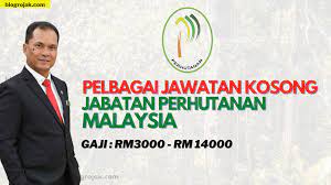 Jawatan kosong jabatan perhutanan sabah. Pelbagai Jawatan Kosong Di Jabatan Perhutanan Malaysia Lihat Cara Permohonan Di Sini Blog Rojak