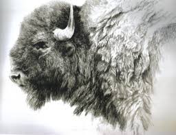 Bison Drawing Buffalo Art Bison Art Bison Artwork