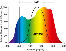 Check spelling or type a new query. Mechatronix Par Ppf Ypf Ppfd And Dli