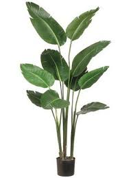 Bird Of Paradise Palm Plant Place A 5 Foot Tall Silk Bird Of Paradise Plant In Your Office This Beautiful Faux Bird Of Birds Of Paradise Plant Artificial Plants And Trees Paradise Plant