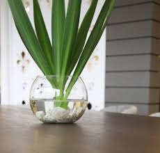 Maybe you would like to learn more about one of these? Hacer Centros De Mesa Creativos Y Elegantes Puede Ser Tan Simple Como Tomar Una Pequena Pecera Ag Centros De Mesa De Comedor Pequenas Peceras Mesas De Comedor