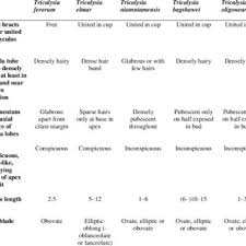 Image result for Tricalysia niamniamensis