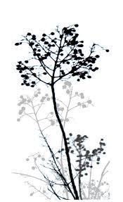 Black and white photography, urban photograph, melbourne, australia urban print, shoe wall decor, cityscape photo print. Nature Design Black And White Digital Art By Ann Powell