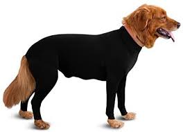 Then pat the area with the wet cotton ball gently and allow the area to dry naturally. Amazon Com Shed Defender Original Dog Onesie Seen On Shark Tank Contains Shedding Of Dog Hair For Home Car Travel Anxiety Calming Shirt Surgery Recovery Body Jumpsuit E Collar Alternative Black Xxxs