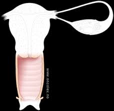 Veg, er dei til ingen nytte børa letnar, framom ventar tyngre veg ved tridje stad der stiar krossar, biar du legg frå deg reidsle, legg di maske ned der du er på veg, er dei til ingen nytte børa letnar. Kreft I Skjede Gynkreftforeningen