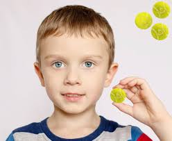 Sports Season Gum Balls, Fruit Flavored Bubble Gum, Candy Gum Buffet  Treats, Machine Size Refills (Tennis Balls, 1 Pound) : Amazon.ca: Grocery &  Gourmet Food